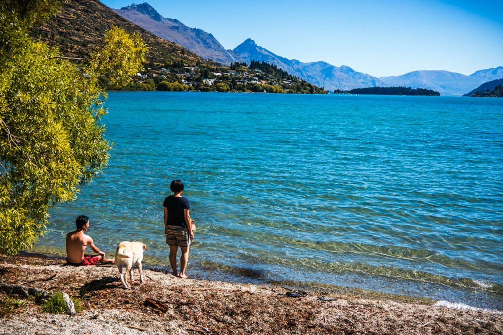 viajes-con-mascotas