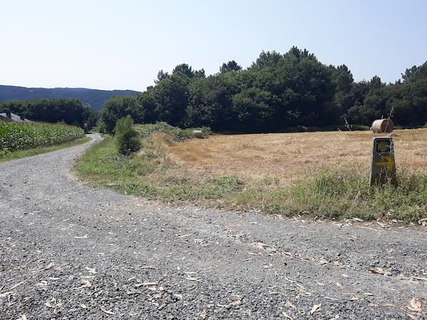 Camino de Santiago